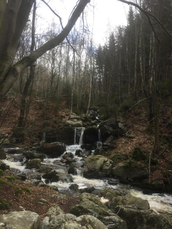 Cap Esperance Villa Waimes Eksteriør billede